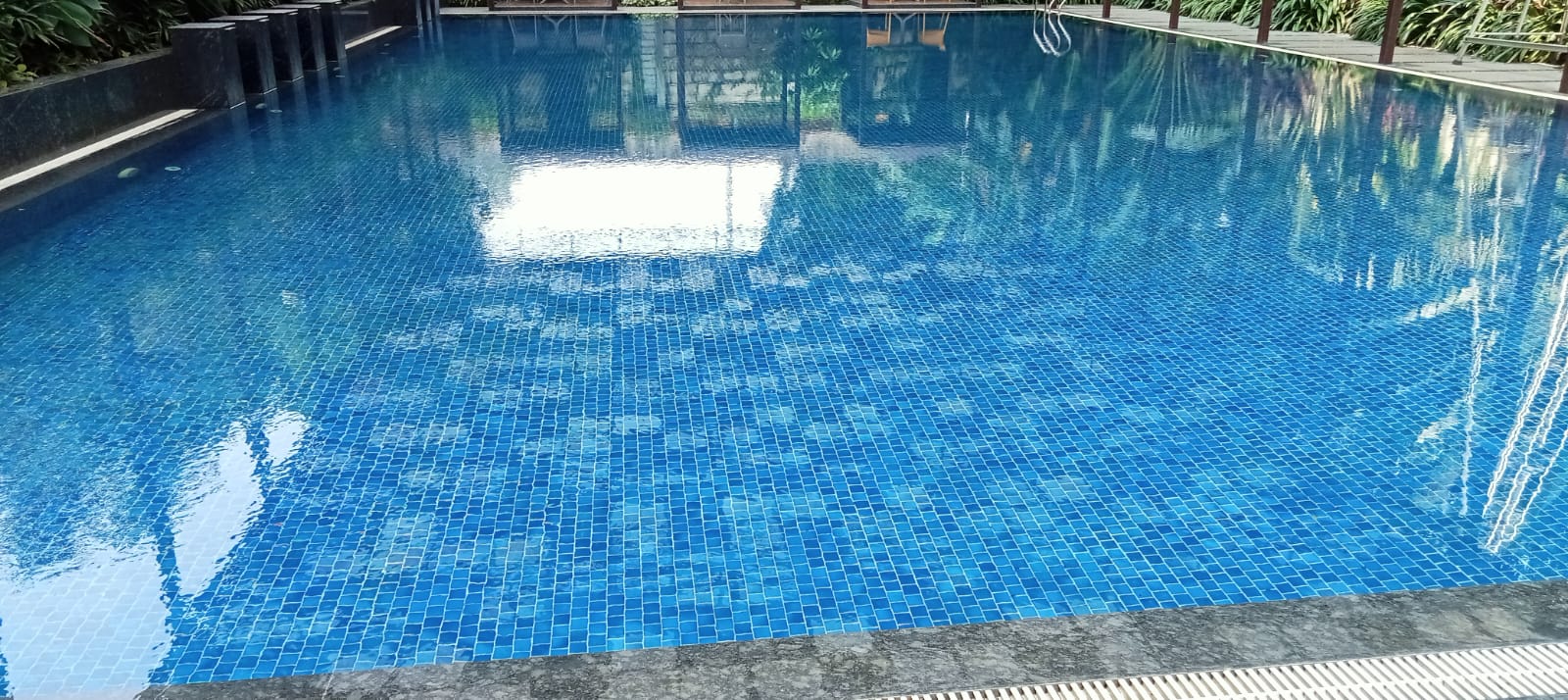 WhatsApp Image 2025-11-20 at 12.28.54 PM (1)