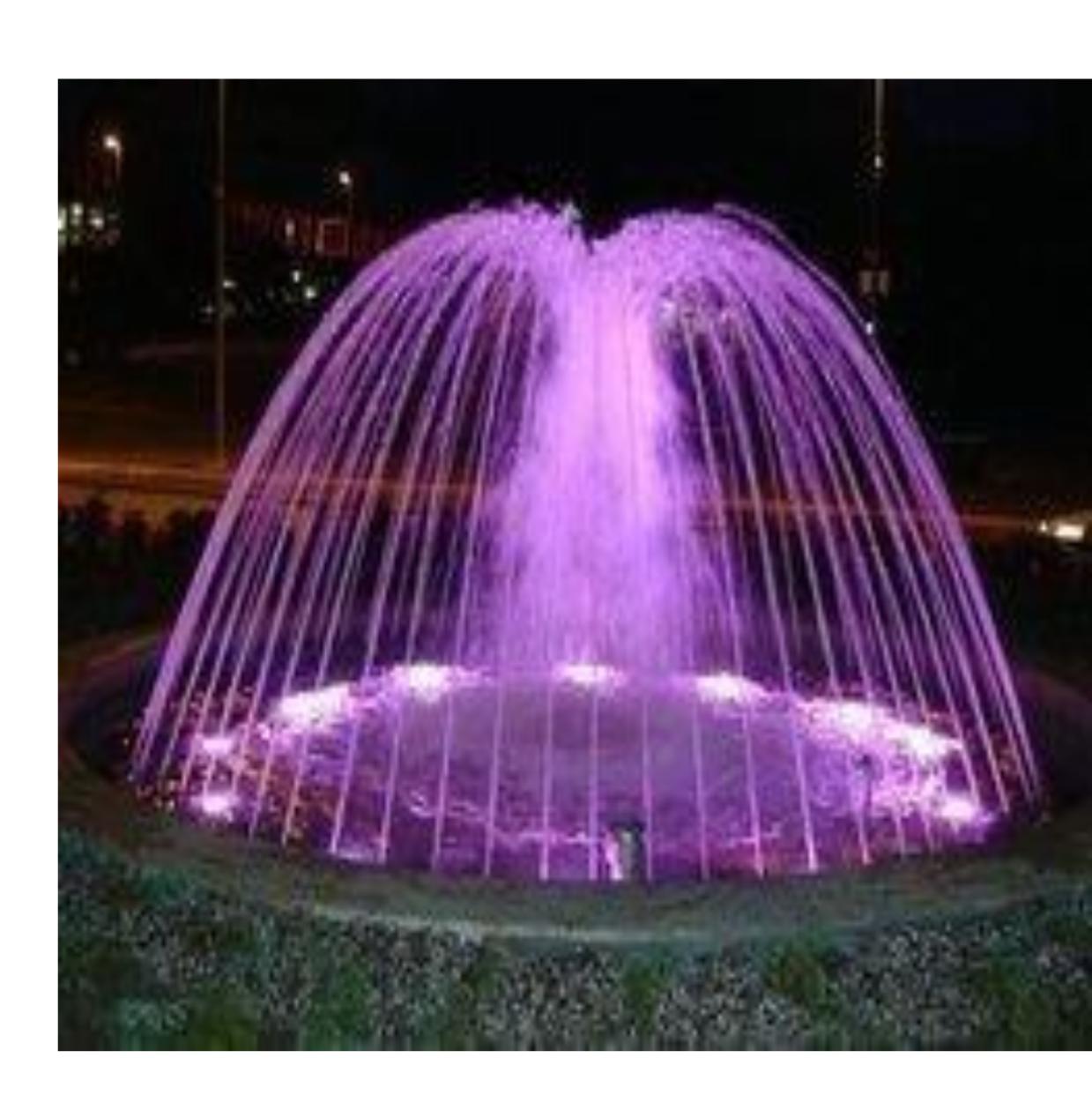 WhatsApp Image 2025-11-20 at 12.28.55 PM